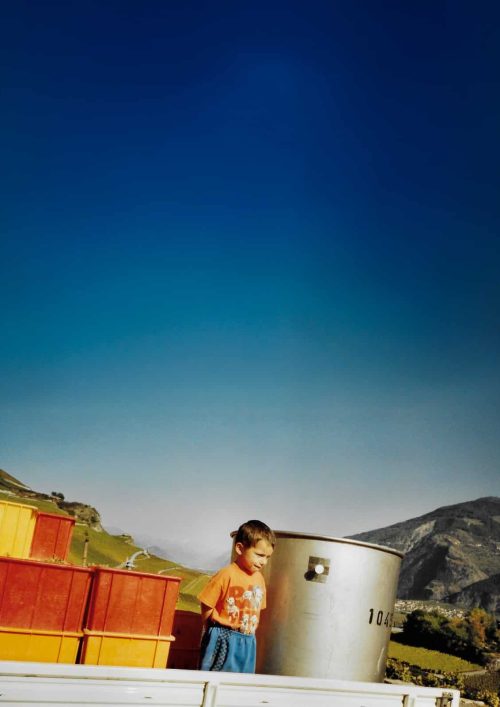 la révérence - visuel 2